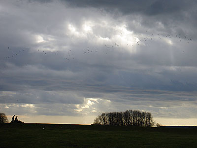 Walkers against a winter sky, walking to Camber sands, Rye, Sussex, UK