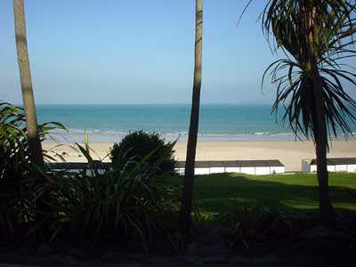 Palm trees, sea and sand, St Ives