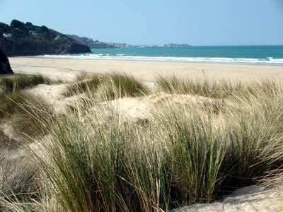 Porth Kidney sand dunes, St Ives Cornwall, March 2003