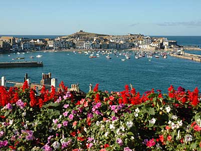 Flowers and St Ives Head, St Ives bay, late afternoon, St Ives, Cornwall, August 2005