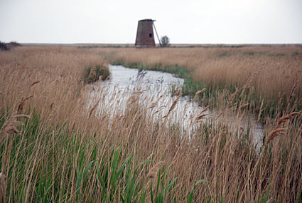Walberswick to Dunwich, Suffolk, photos of the marshes and countryside, East Anglia, England, UK