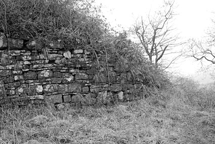 Castell Morgraig, north Cardiff, south Wales, December 2006