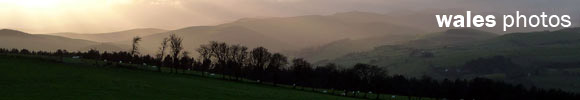 A weekend walking around Spring Hill farm, Glyn Ceiriog, near Chirk, Llangollen, Clwyd, north Wales.