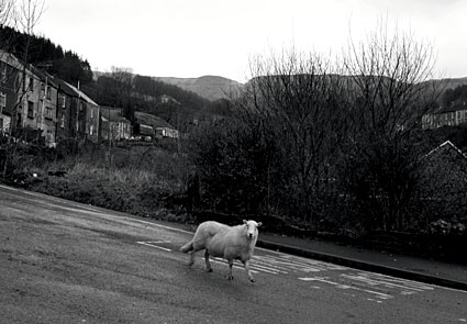 Nantymoel and Ogmore Vale, Bridgend, mid Glamorgan, south Wales