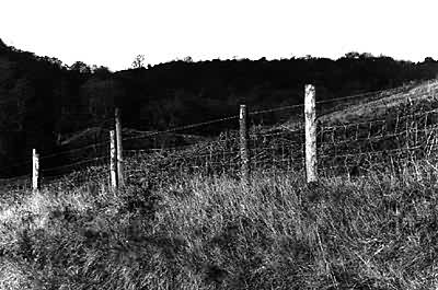 Fence and hillside