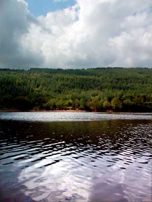 Foresty plantation at Pant Sychbant, Llwyn On reservoir, Brecon Beacons, south Wales