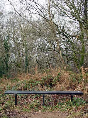 Empty Park Bench, Wenallt, Rhiwbina, Cardiff, Christmas Day 2003, south Wales photos