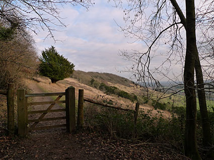 Box Hill walk,  National Trust, North Downs, Tadworth, Surrey, England UK