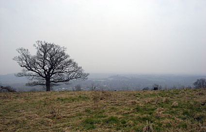 Boxhill and Westhumble, a 10 mile walk through Polesden Lacey and Ranmore Common, Surrey