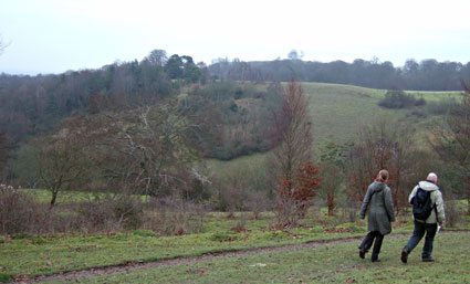 Pulpit Hill, Princes Risborough to Wendover, Buckinghamshire, country walk, January 2006