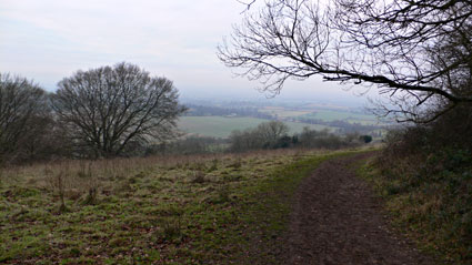 Pulpit Hill, Princes Risborough to Wendover, Buckinghamshire, country walk, January 2006