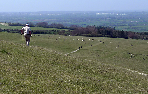urban spring camping holiday - Vale of the White Horse