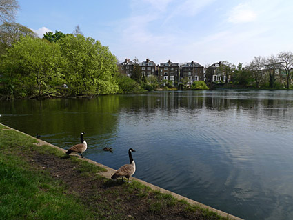 Hampstead Heath walk past Hampstead Ponds, Pergola, Hill Garden and Jack Straw's Castle, north London, England  - photos, feature and comment