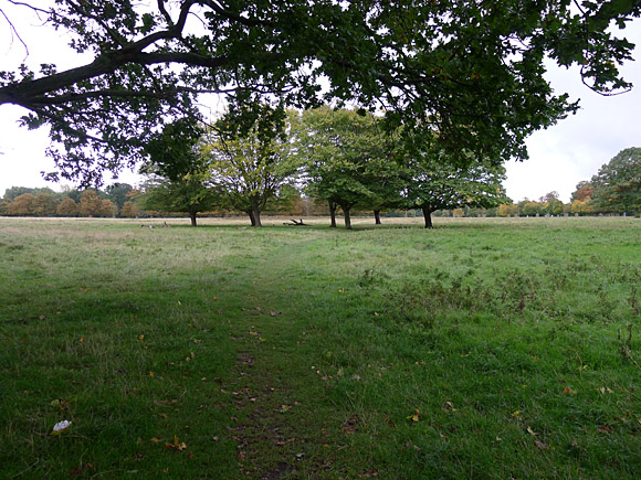 Walking the London Loop, Section 9 Hatton Cross to Kingston Bridge via Hounslow and Bushey Park, west London, England, 3rd October, 2010