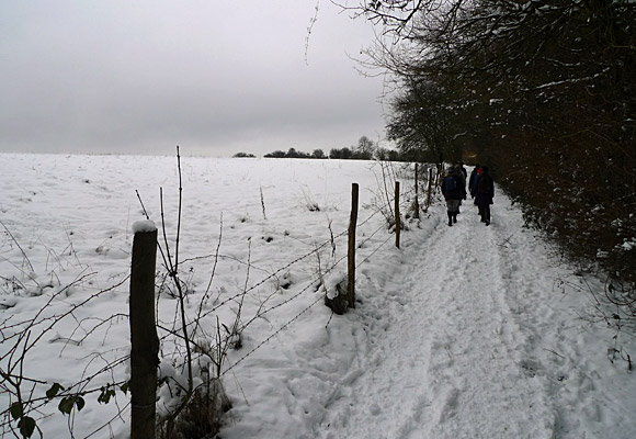 Walking the London Loop. Section 5 - Hamsey Green to Coulsdon South, London and Surrey, England UK, January, 2010