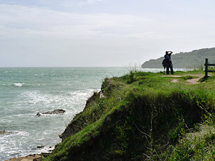Swanage Coast path walk, past Peveril Point and Durlston Bay, Dorset, May 2009 - photos, feature and comment - photos, feature and comment