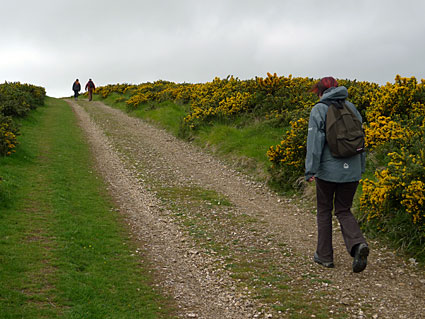 A walk from Tyneham to Worbarrow Bay, Isle of Purbeck walk, Dorset, May 2009 - photos, fea<img src=
