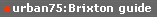 Brixton guide