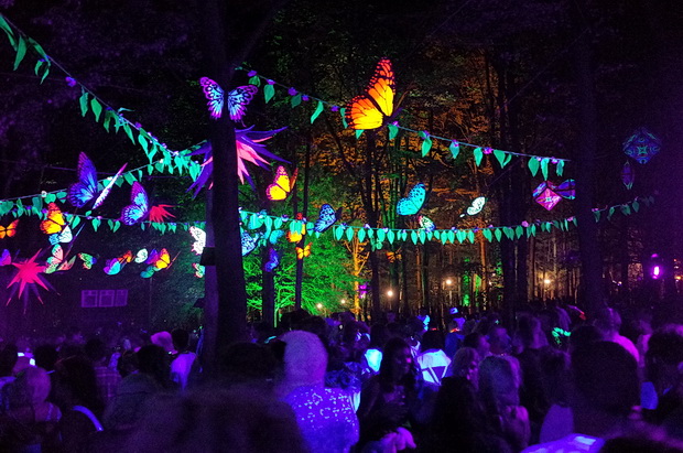 In the woods: scenes from Boomtown Festival, August 2016