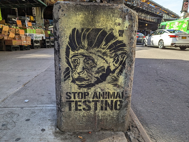 New York street photography: a walk from Bushwick to Williamsburg in fifty images