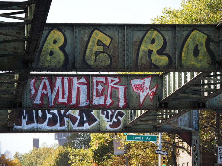 New York street photography: a walk from Bushwick to Williamsburg in fifty images