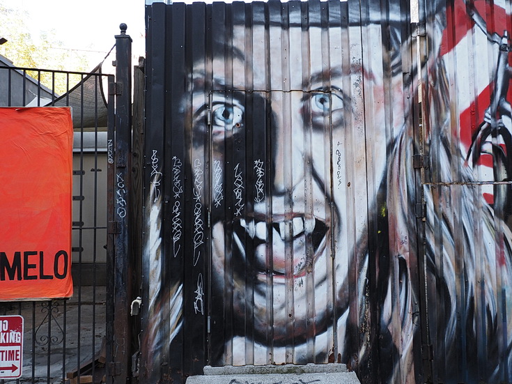 New York street photography: a walk from Bushwick to Williamsburg in fifty images