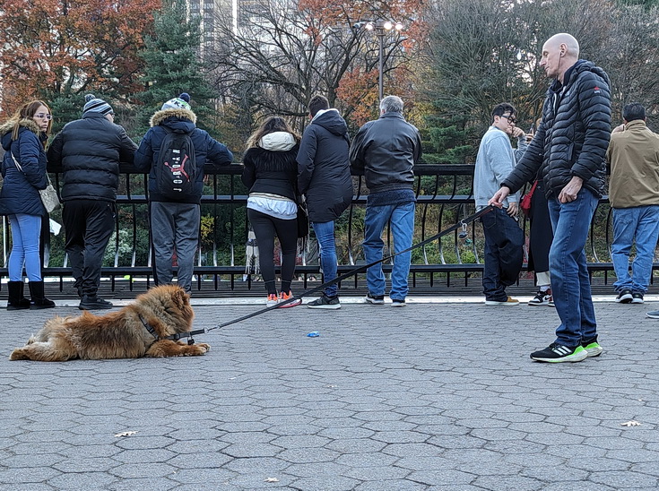 In photos: ice skating, autumnal shades and shadows, Central Park, New York
