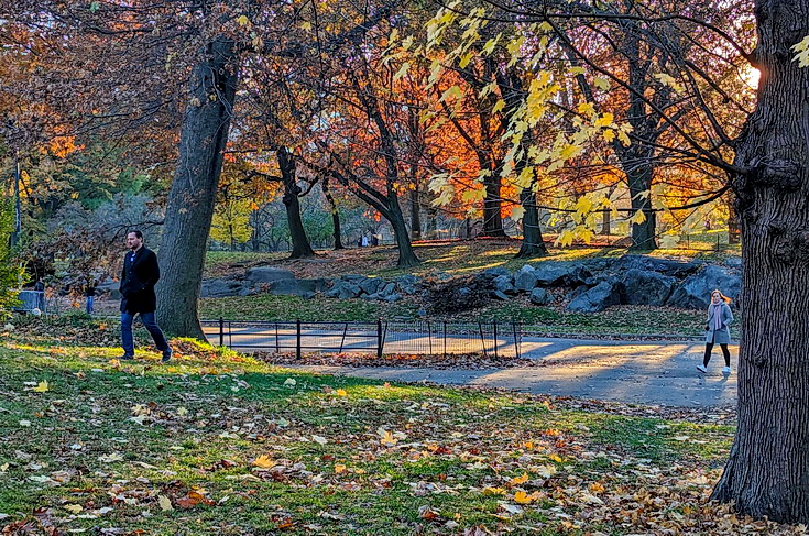 In photos: ice skating, autumnal shades and shadows, Central Park, New York