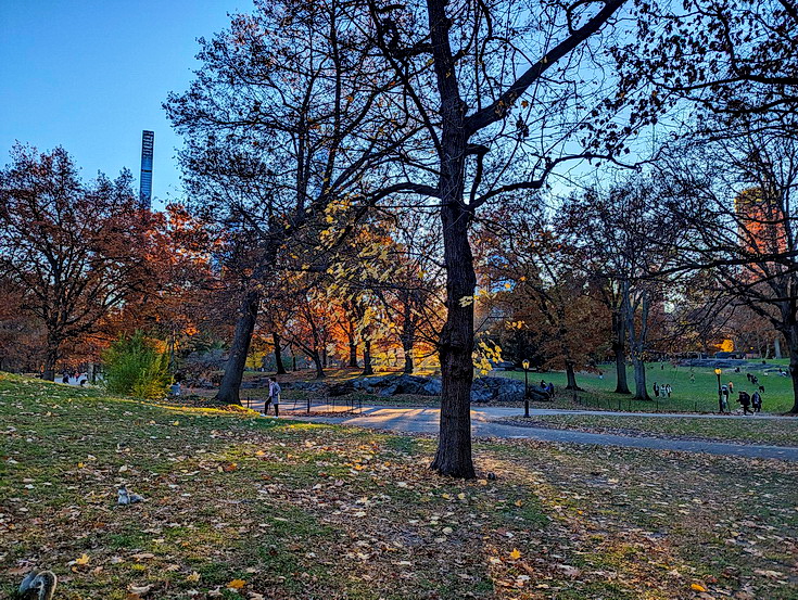 In photos: ice skating, autumnal shades and shadows, Central Park, New York