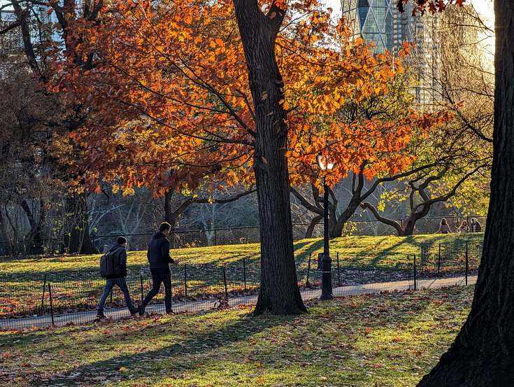 In photos: ice skating, autumnal shades and shadows, Central Park, New York