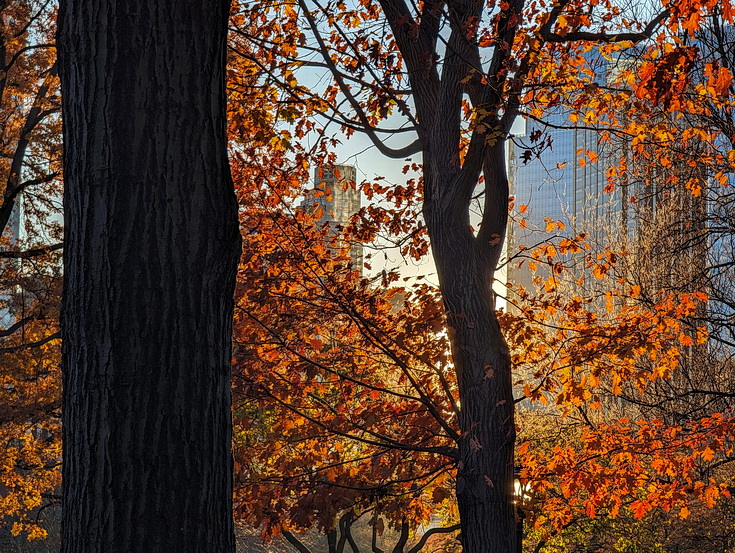 In photos: ice skating, autumnal shades and shadows, Central Park, New York