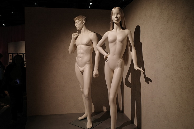 The Cult of Beauty at the Wellcome Collection examines notions of beauty across time and cultures