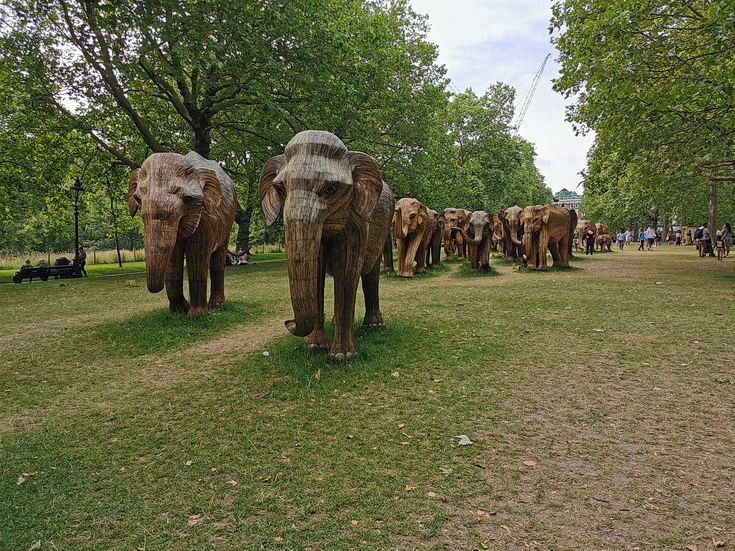 A herd of a 100 elephants descends on London's Green Park