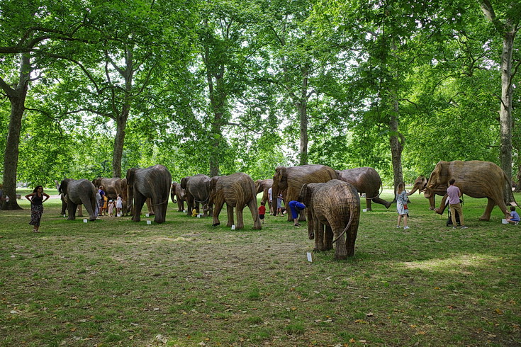 A herd of a 100 elephants descends on London's Green Park