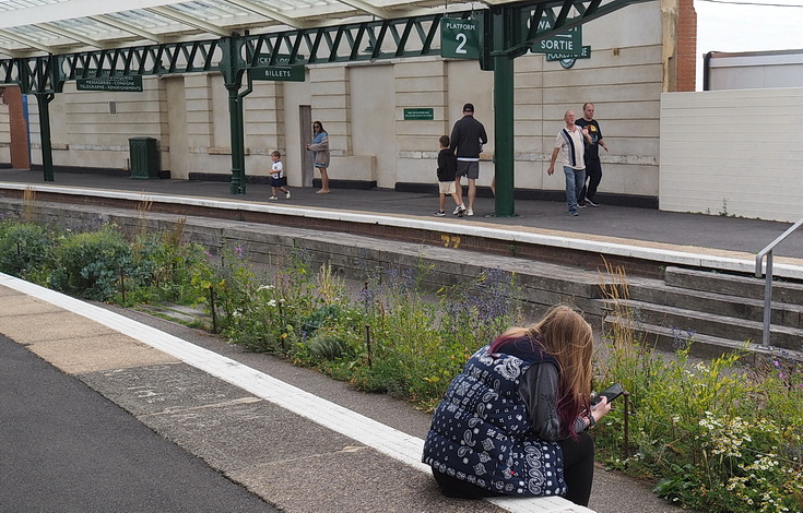 Return to Folkestone Harbour disused railway station - thirty photos