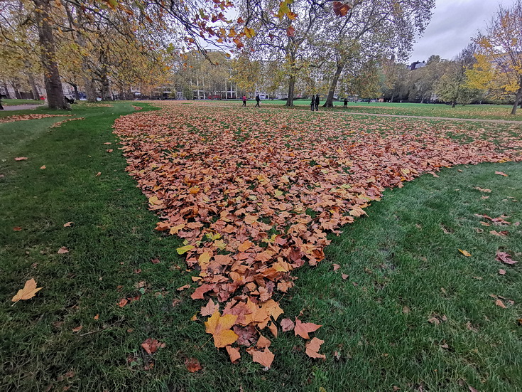 Green Park goes for the full autumnal colours, Nov 2020