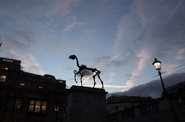 Gift Horse by German artist Hans Haackeon on Trafalgar Square's Fourth Plinth, London, March 2015