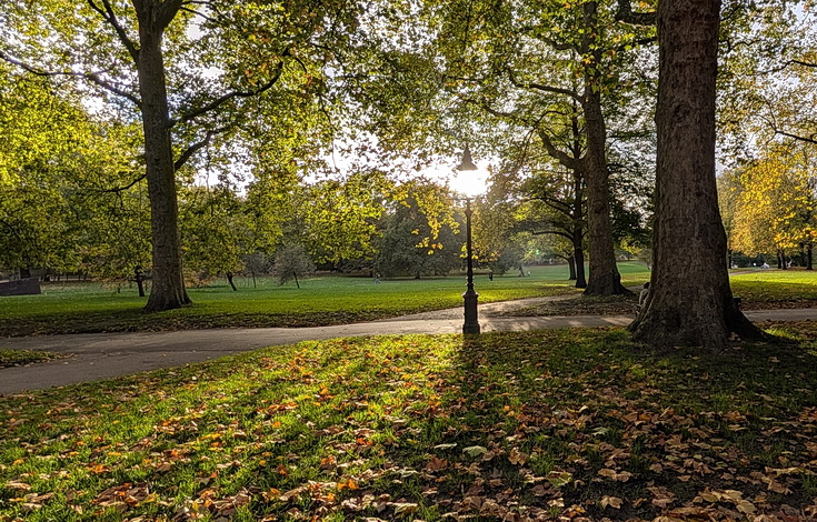 In photos: Green Park in October: autumn shades, squirrels and an influencer