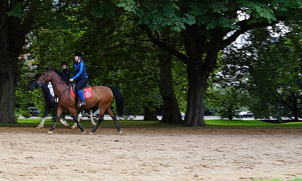 London art walk: Green Park to Hyde Park and the Serpentine, late summer 2018