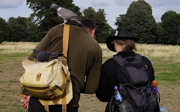 London art walk: Green Park to Hyde Park and the Serpentine, late summer 2018