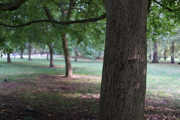 London art walk: Green Park to Hyde Park and the Serpentine, late summer 2018
