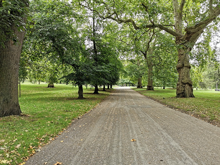 A photo walk through Green Park, St James's Park and Trafalgar Square, London, September 2020