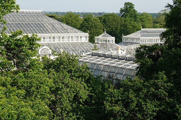 Fifty photos of the wonderful Kew Gardens including the Palm House, treetop walkway and amazing plants 