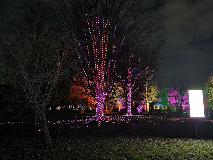In photos: the magnificent light trails at Kew Gardens, Winter 2021