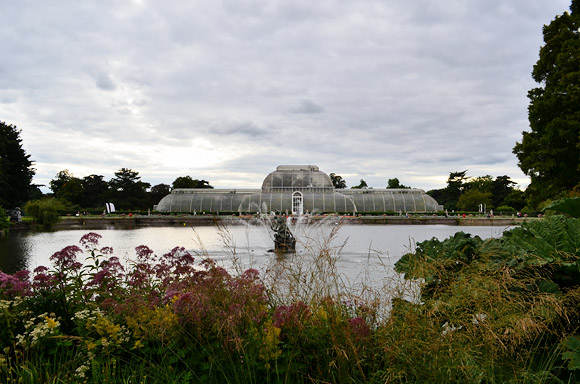 Photos of the Royal Botanic Gardens, Kew Gardens, west London, August 2011, August 2011