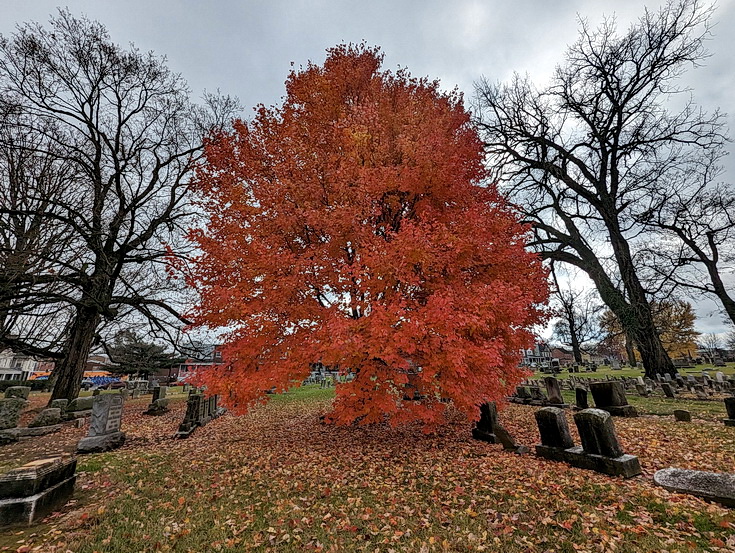 In photos: Lancaster Cemetery in beautiful shades of autumn, Pennsylvania, Nov 2023