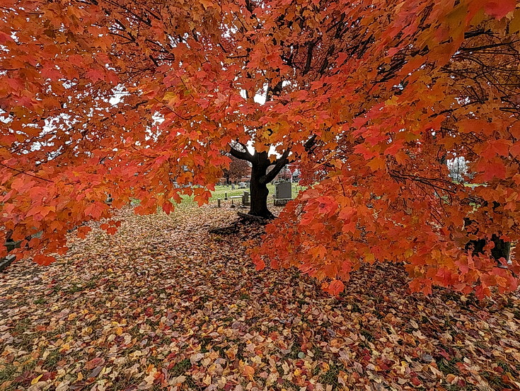 In photos: Lancaster Cemetery in beautiful shades of autumn, Pennsylvania, Nov 2023