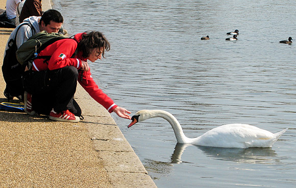 A Sunday selection of London photos