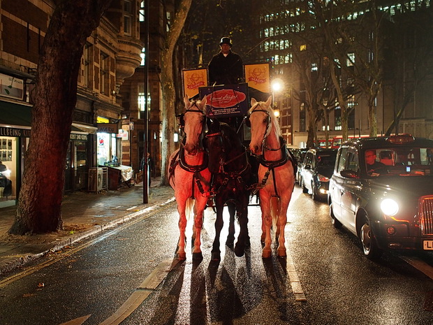London street scenes - tourist tack, horse-drawn bus, photo exhibitions and the first Christmas tree, November 2015
