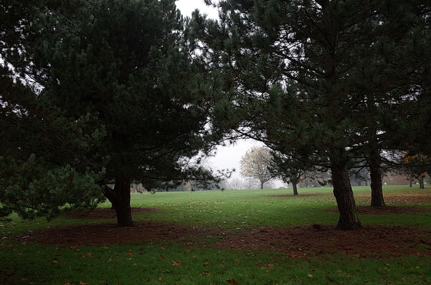 A depressing trudge in the rain around Northolt Park, north London, Saturday 15th November 2014